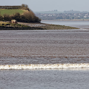 Tidal bore on the Solway Firth